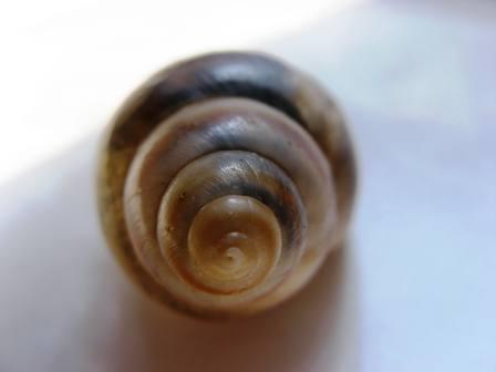 Ancora una e basta cos''�?